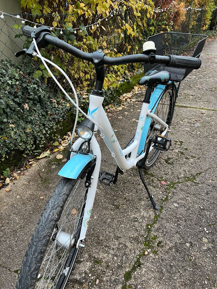 Falter FX 603 Mädchenfahrrad in Hargesheim