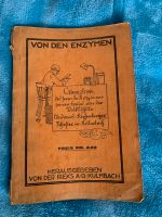 Antiquarisches Buch Von den Enzymen Kr. München - Haar Vorschau