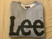 LEE PULLOVER. SWEATER. GR L. FAST WIE NEU Wandsbek - Hamburg Wellingsbüttel Vorschau