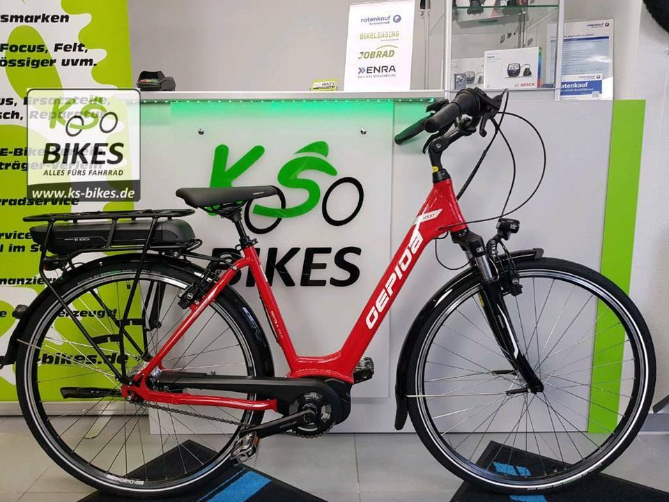 Reptila 1000 Bosch Active Line Nexus E-Bike Pedelec Cityrad in Bottrop