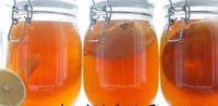 Bio Kombucha Pilze für Fermentation Milchsäure Bayern - Dachsbach Vorschau