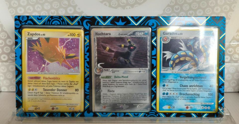 Pokemon Karten Kinder Paket TTB /Tin / 50 Karten /Holos /Zubehör in Kall