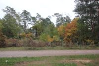 Wohnen wo andere Urlaub machen- Kolberg zwischen Wolziger und Langer See Brandenburg - Heidesee Vorschau