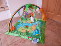 Fisher-Price Rainforest Erlebnisdecke,Krabbeldecke mit Spielbogen Brandenburg - Bad Belzig Vorschau