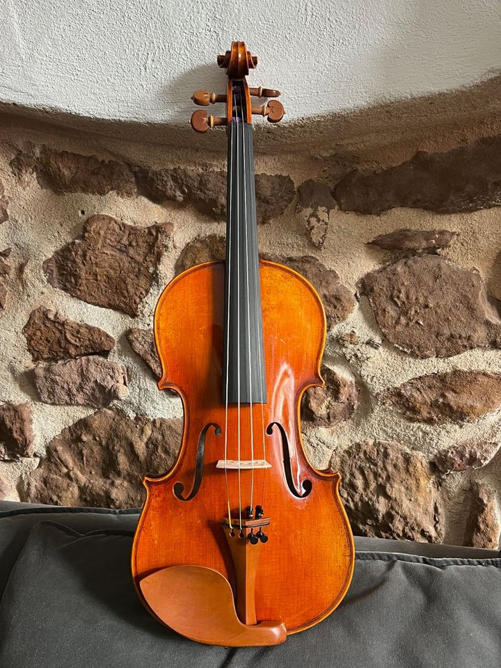 4/4 Solistengeige 'Atelier Amsterdam 3' Violine Geige Meisterhand in Freiburg im Breisgau