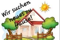 Suche Haus zur Miete im Kreis Neuwied Rheinland-Pfalz - Neuwied Vorschau