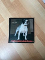 Kynos Verlag Buch Staffordshire Bull Terrier, D. Fleig, 1. Auflag Bayern - Burgthann  Vorschau