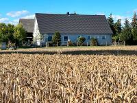 Ferienhaus Landliebe in Mecklenburg Vorpommern Kreis Pinneberg - Elmshorn Vorschau