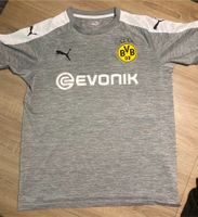 Borussia Dortmund Trikot (176) Niedersachsen - Edewecht Vorschau