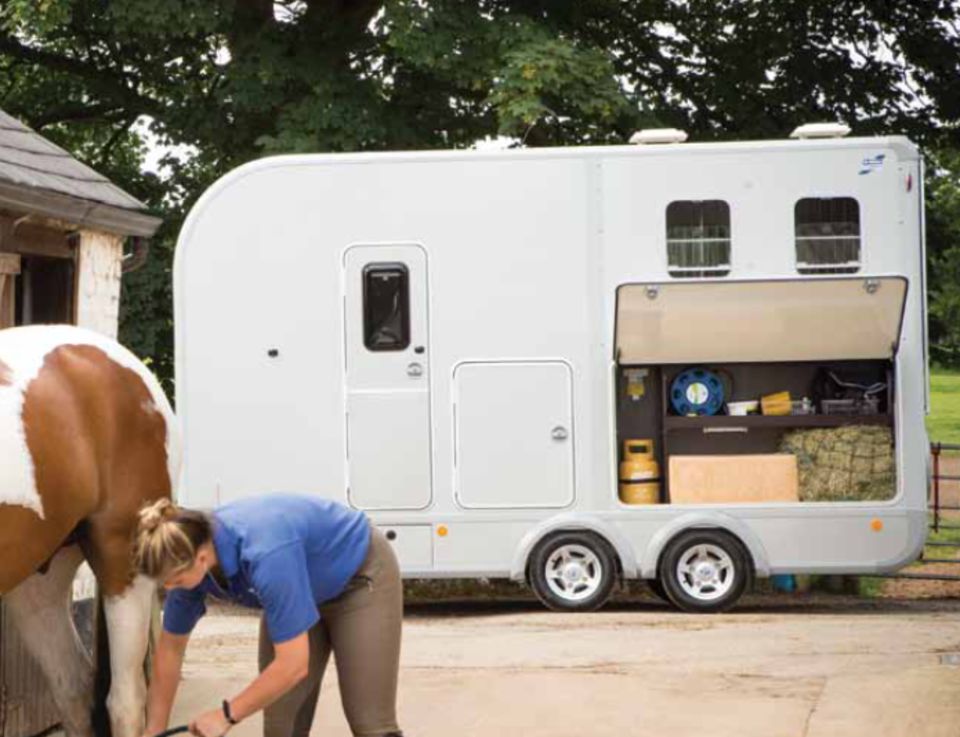 Ifor Williams Pferdeanhänger  EVENTA M Base Basisausstattung in Weiden (Oberpfalz)