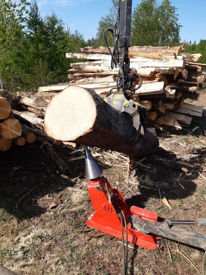 Kegelspalter mit Konsole für Rückewag Holzspalter Traktor 800 ccm in Pausa/Vogtland