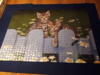 Puzzle 1.000 Teile "Katzen" Nordrhein-Westfalen - Inden Vorschau