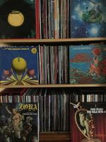 Suche Schallplatten Schallplattensammlung Vinyl Maxi Singles Bayern - Regensburg Vorschau