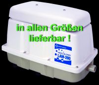 MEDO NITTO LAM-200 KOMPRESSOR f.Aquarium Gartenteich Biogasanlage Hessen - Stadtallendorf Vorschau