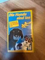Die Hunde sind los - VHS Atlas Film Rheinland-Pfalz - Germersheim Vorschau