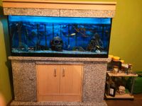 Aquarium 260l mit Unterschrank und Zubehör Sachsen - Liebschützberg Vorschau