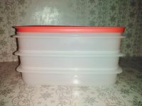 Tupperware Gefrier Behälter Freeze´N Fresh 4 tlg. Neu&OVP Sachsen - Weißenberg Vorschau