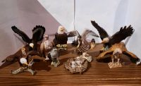 Schleich Greifvögel Sachsen-Anhalt - Aken Vorschau