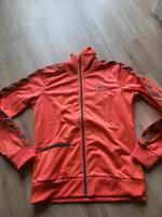 Hummel Sportjacke/ Zip Jacke Damen Schleswig-Holstein - Rickert Vorschau