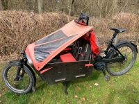 Lastenfahrrad | Riese Müller Packster 60 | Riemenantrieb Bayern - Uttenreuth Vorschau