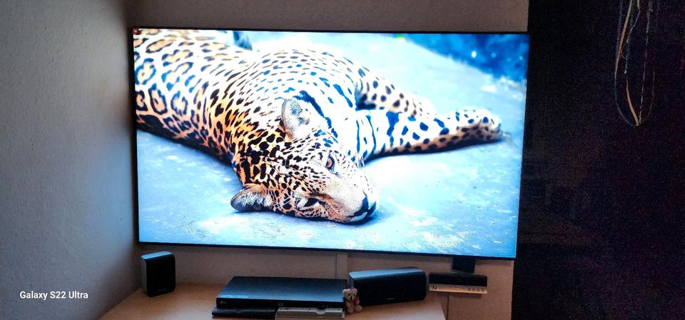 Samsung 65 Zoll QLED TV 3 Monate jung inkl HD+ in Bad Liebenwerda