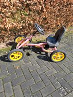 Berg Buddy GoKart Hamburg - Harburg Vorschau