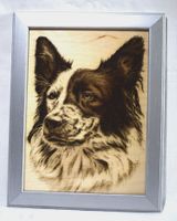 Brandmalerei Hund Border Collie Bild Holzrahmen Wandbild Holz Niedersachsen - Bad Pyrmont Vorschau