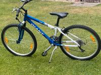 24 Zoll Giant Fahrrad Sachsen - Zwickau Vorschau