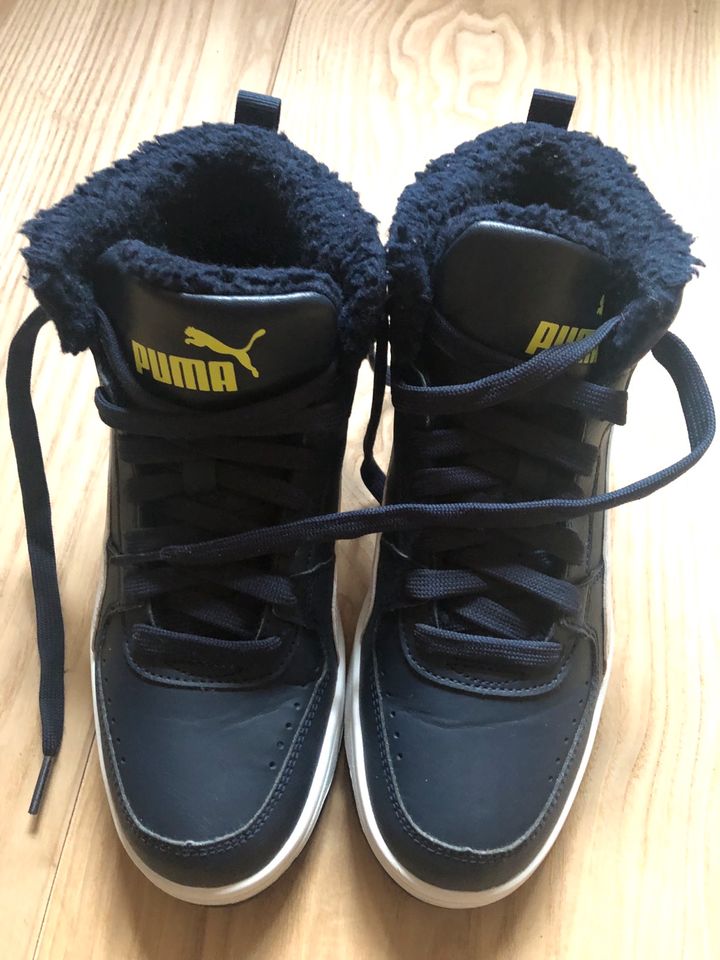 Puma Sneaker Turnschuhe Größe 37,5 in Hildburghausen