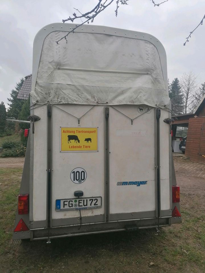 Tiertransport Anhänger Viehtransport mieten in Lichtenau