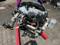 VW Audi 1,9 TDI BLS Motor Triebwerk Top Zustand Nordrhein-Westfalen - Dorsten Vorschau