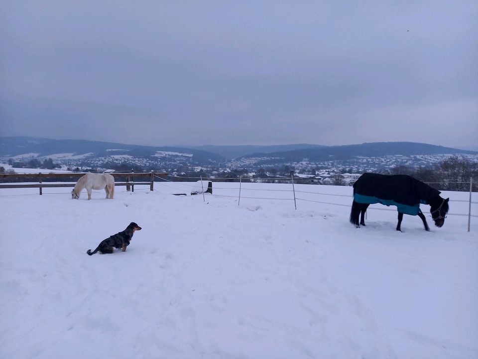 Amigo Winterdecke 1,10m 300g wie neu in Melsungen