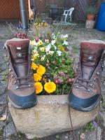 Lowa Wanderschuhe Nordrhein-Westfalen - Horn-Bad Meinberg Vorschau