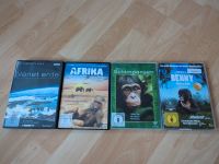 DVD 4 Filme Natur Tiere Planet Erde, Afrika, Schimpansen, Benny Baden-Württemberg - Ludwigsburg Vorschau