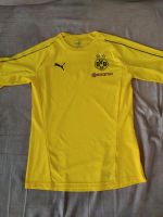BVB Borussia Dortmund Trainingsshirt Gr M Puma sehr guter Zustand Hessen - Heuchelheim Vorschau
