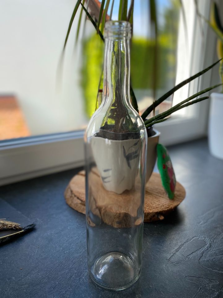 Flaschen 0,75 l, in Lauf a.d. Pegnitz
