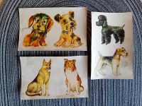 3x Hunde DDR Abziehbild Schiebebilder Sammeln Deko Vintage Lot Sachsen - Lengenfeld Vogtland Vorschau