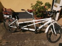 E Bike Tandem, Viking Timberland Rheinland-Pfalz - Dannstadt-Schauernheim Vorschau