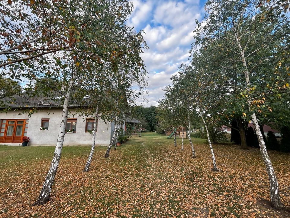 Haus mit Grundstück und Wald in Baja, Süd-Ungarn, Preissenkung! in Kaiserslautern