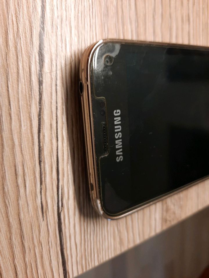 Samsung Galaxy S5 mini in Tettnang