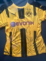 Bvb Trikot mit ganzen Unterschriften Sachsen-Anhalt - Aschersleben Vorschau