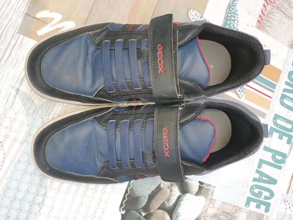 Geox Sneaker Halbschuh Gr. 39 in Zeulenroda