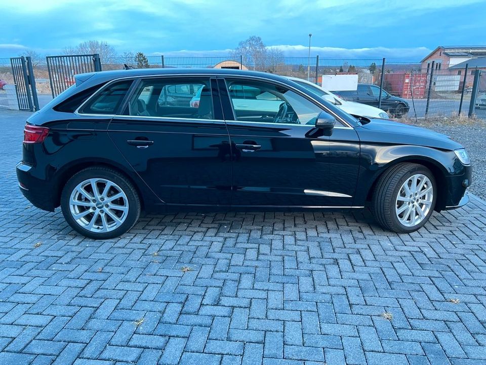 Audi A3 Sportback 40 TDI Quattro Design Stdhzg. in Kassel