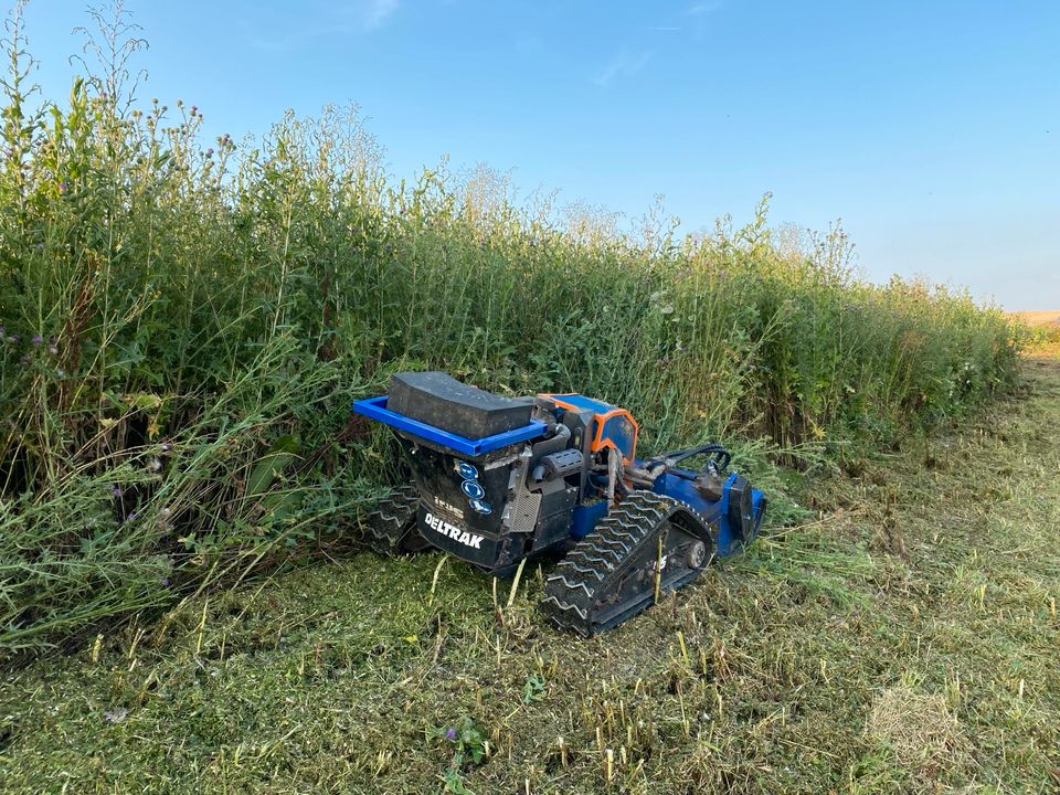 Mähen Mulchen Mähraupe Brombeer Hecke verwildertes Grundstück in Künzelsau