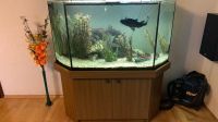 Aquarium komplett m. Unterschrank, Filter,Heizung,Fische,Zubehör Bayern - Weihenzell Vorschau