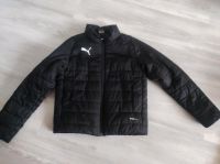 Puma Jacke Gr. 128 warmcell Übergangsjacke Steppjacke Berlin - Treptow Vorschau