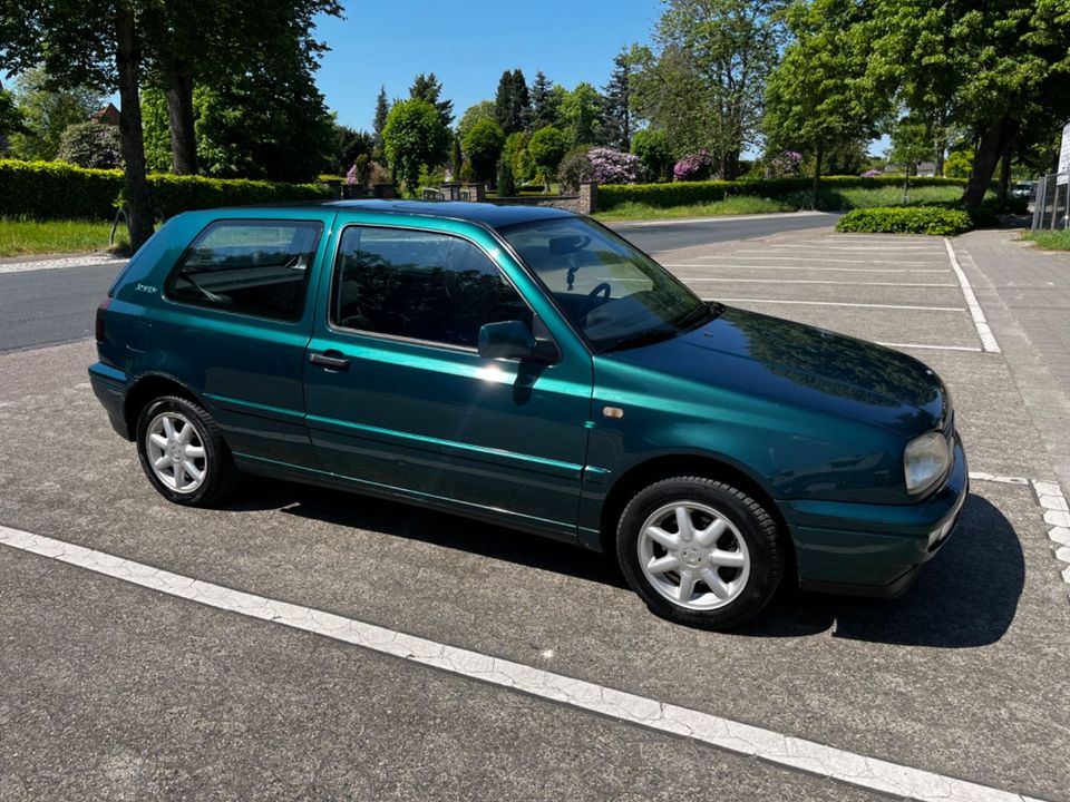 Volkswagen Golf 3 Joker Automatik in Bad Fallingbostel