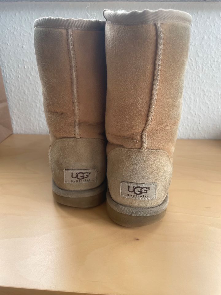 Original UGG-Boots in Limburg