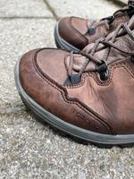Leder Wanderschuh bzw. Trekkingschuh Größe 43 // Decathlon MT500 München - Bogenhausen Vorschau