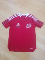 ADIDAS Sport T-shirt 152 Bayern - Waltenhofen Vorschau